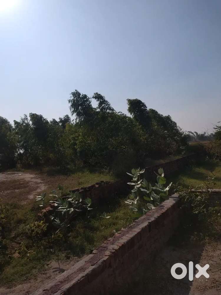 10ਮਰਲੇ ਜਗ੍ਹਾ ਗੁਰੂਹਰਸਹਾਇ ਮੋਠਾ ਵਾਲਾ ਰੋਡ