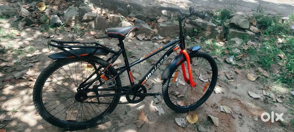 Avon cycle