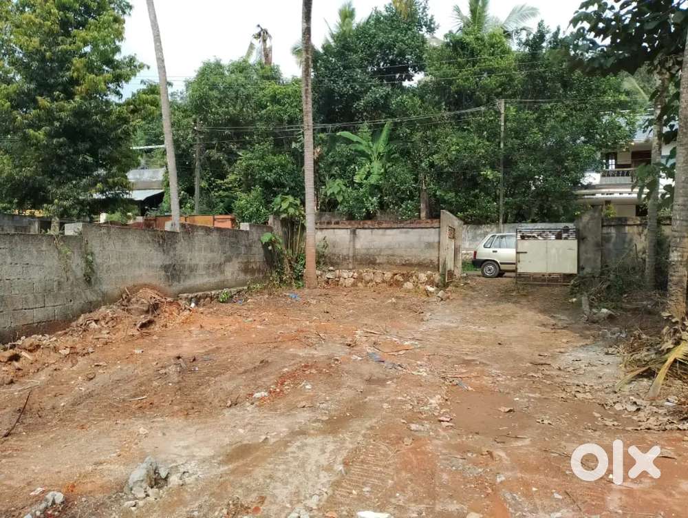 15 cent house plot for sale(rate negotiable)