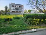 295 Sqyards Plot For Sale in Omaxe Phase 3 New Chandigarh.