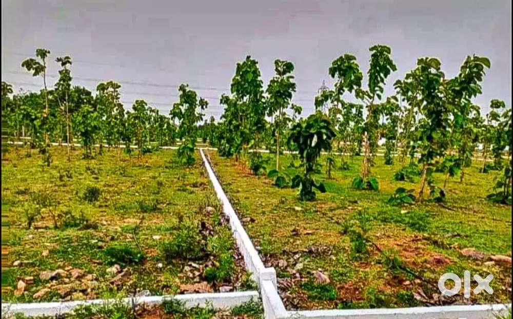 DTCP Approved low budget price near kinadhukadau