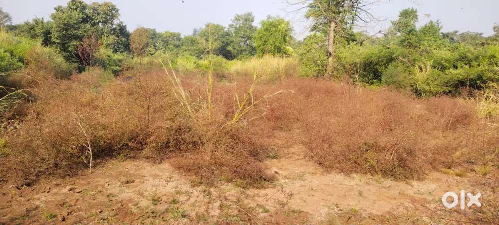 22 Guntha Land Aprox 23 Thousand Square Feet In very Cheap Rate