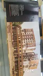 its a growing  and perfect project [22feet height and 12 feet length ]