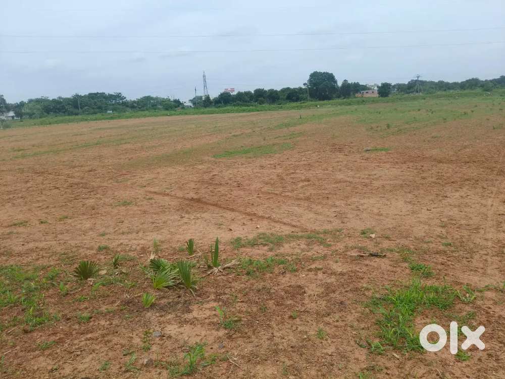 Agriculture land for sale