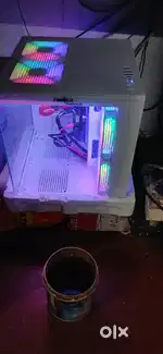 Rgb pc full white. 2 months old