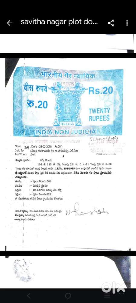 North face 40 feet road