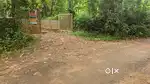 Nariapuram 154 cent plot suitable for all projects
