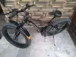 Appgrow stark, fat bicycle, 2024