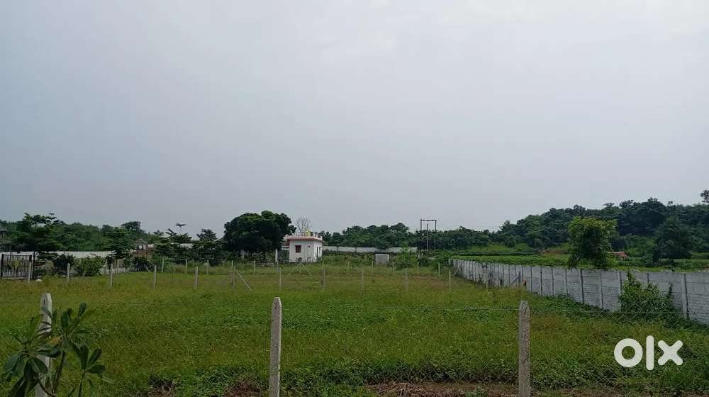 Farmhouse plot