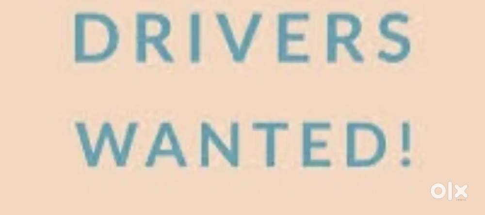 Wanted drivers for tourism/ infopark company