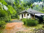 Resort/Homestay water stream land@Wayanad