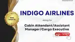 Job hiring in indigo airlines 2025