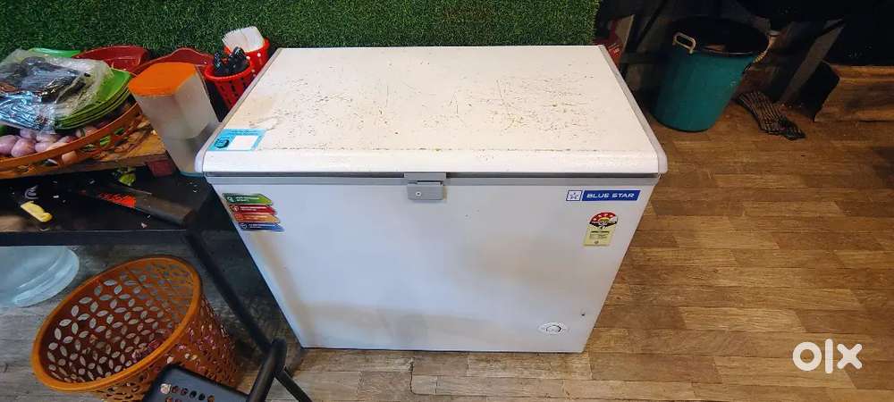 Blue Star deep freezer 201 letters