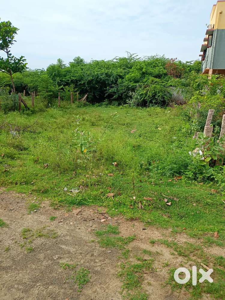 Plot for sale mattithavani tm nagar