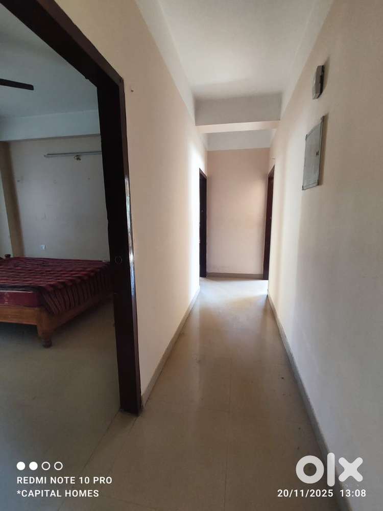 2bhk coupl& pet  frndly flat