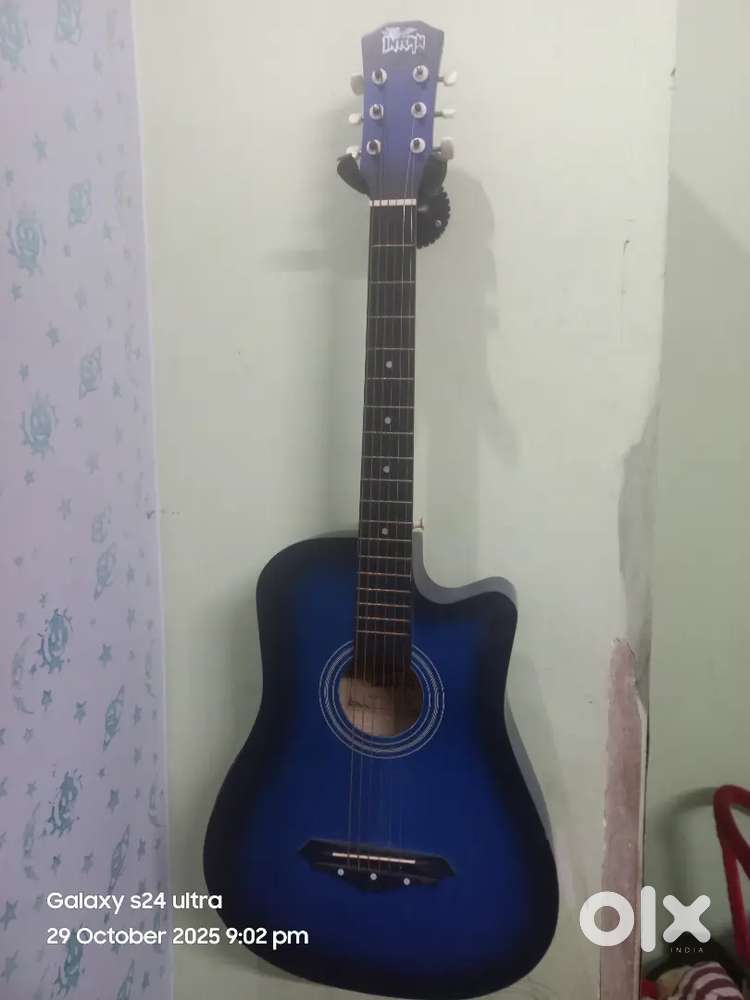 acoustic guitar
