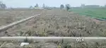 Plot for sale in Kheri (Doiwala) with 20 feet road