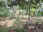 Residential plot for sale 14 cents