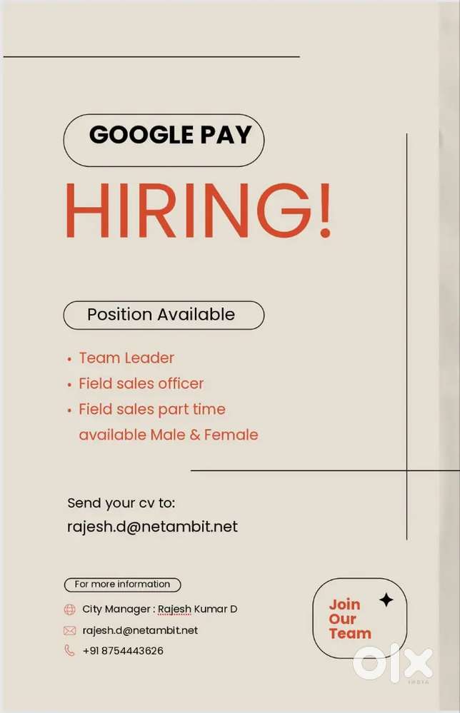 Company Google pay Role Team leader & field sales officer role
