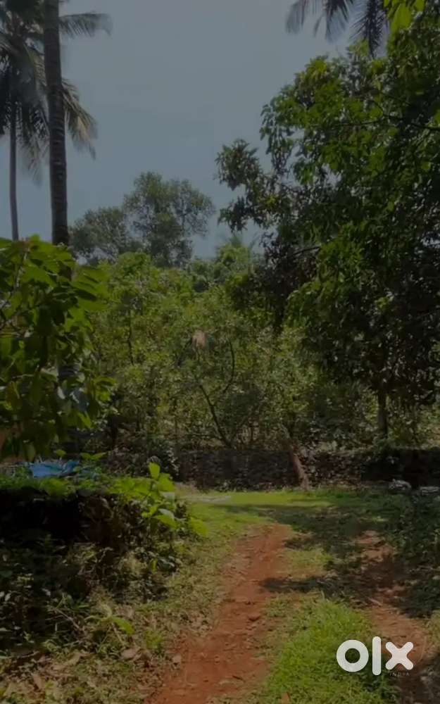 Beautiful farm land for sale