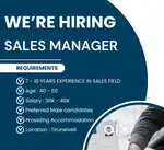 Sales manager (male)