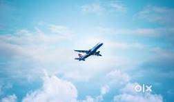 URGENT REQUIREMENT FOR TICKETING EXECUTIVE AND GROUND STAFF IN AIRPORT