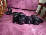 Canon eos1100