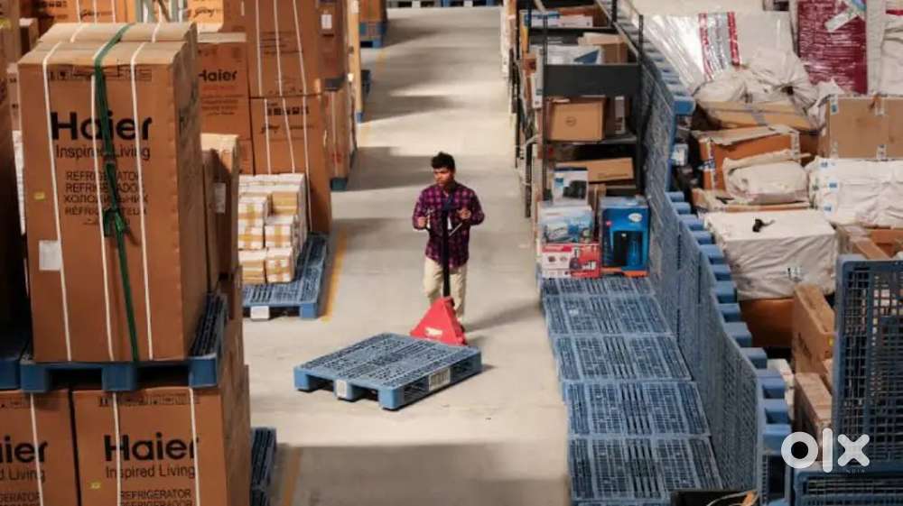 ### only males and Freshers apply for warehouse logistics openings