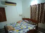Paying guest in shastri nagar