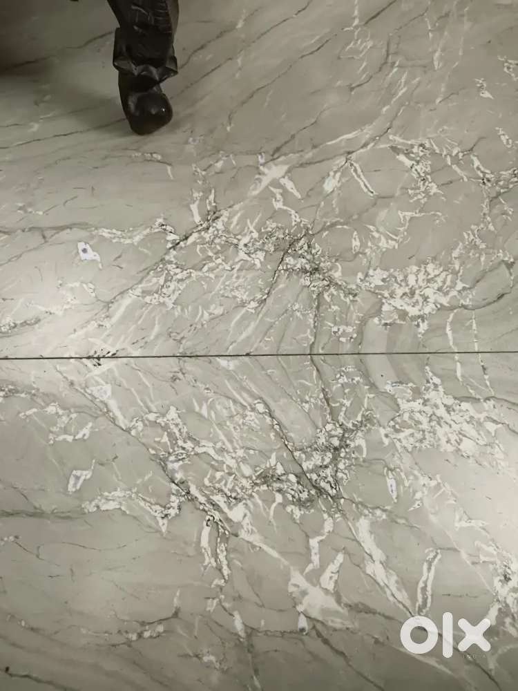 20 cent rectangular plot for sale at ayyambally cherai