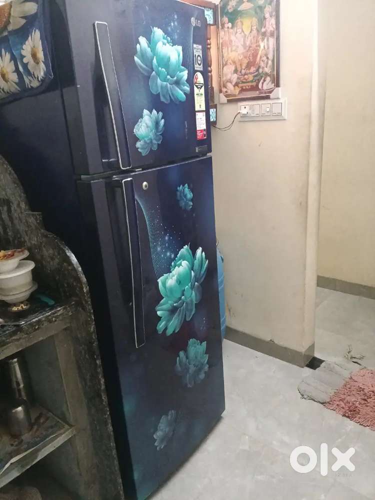 Full size dabal door freez