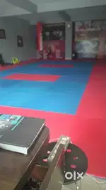 Karate or kabbadi mat + punching bag+ equipments