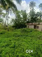 15 cent area near to peace school mathilakam , padiyoor