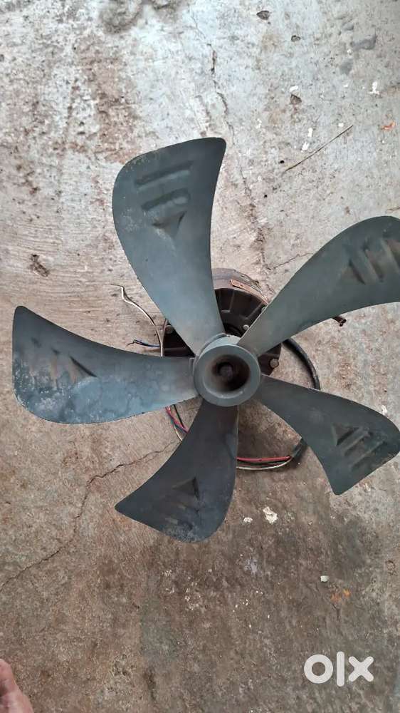 Cooler Fan