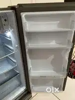 FRIDGE-Hair