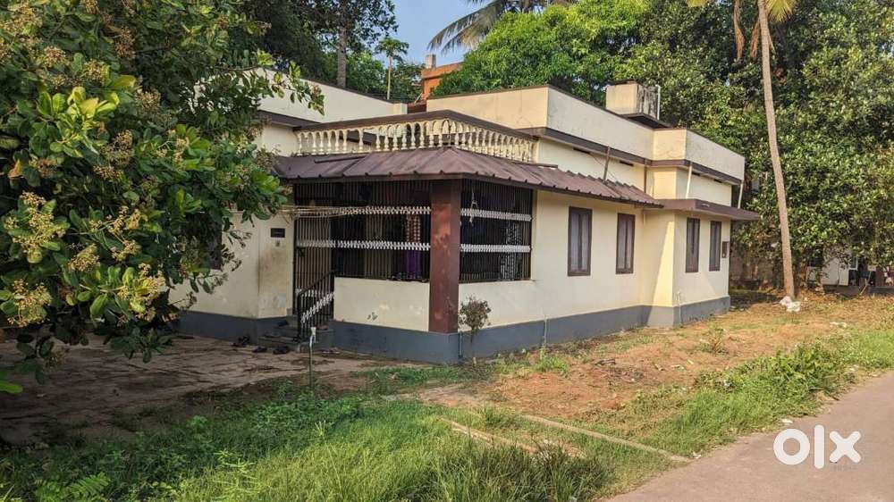15 cent plot with 2 houses on sale near Chirakkuni Mahe Bypass.