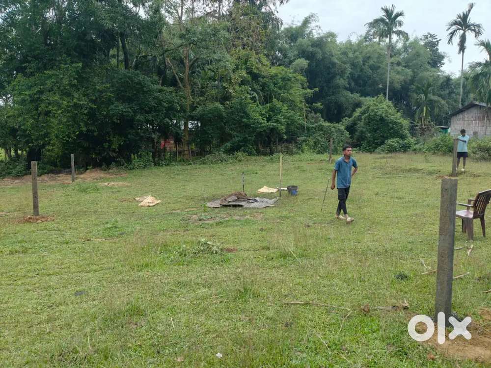 1katha 5 lessa land for sale at Thakurthan Dibrugarh Per Katha 15Lakhs