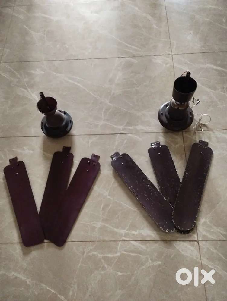 Pair of ceilling fan