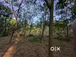 20 CENTS OF LAND FOR SALE , NEAR TO ST GEORGE CHURCH MARAMANGALAM