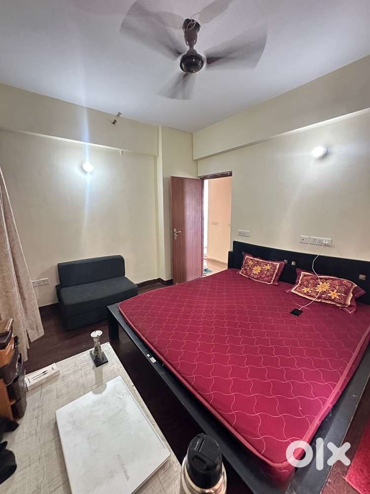 Looking For Flatmates
