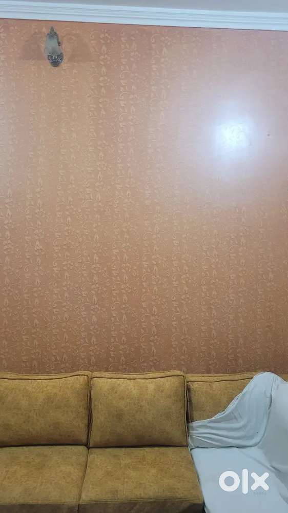 601/10 ram gopal colony rohtak near Reliance mart