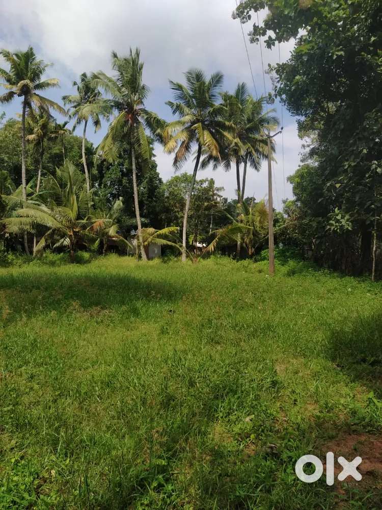 PLOT FOR SALE AT KAYAMKULAM