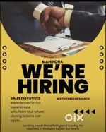 Mahindra Car sales executive