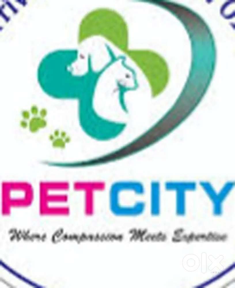 Vet Assistant cum Driver
