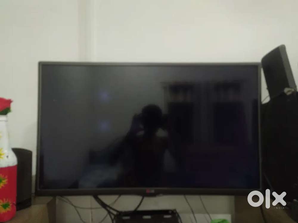 32 inch Lg