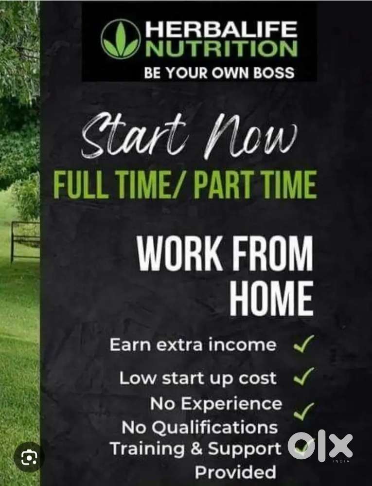 Work From Home Be Your Own Boss