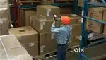 WANTED MALE/FEMALE WAREHOUSE PACKING HELPERS