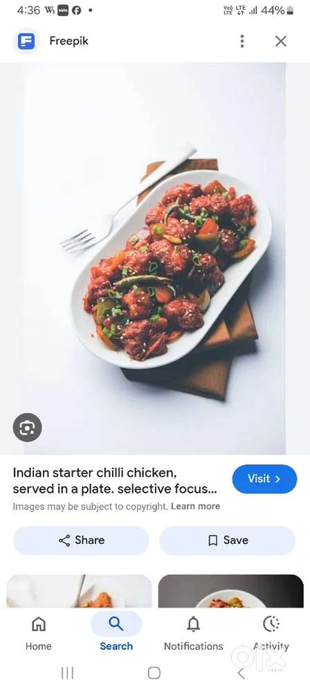 Full time restaurant waiter