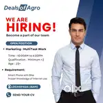 Marketing : MultiTask Work