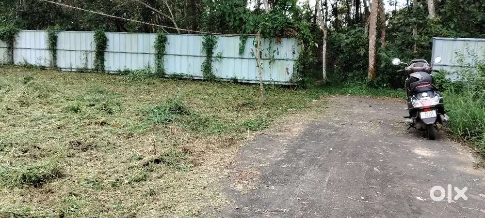 പുത്തനമ്പലം കലാപ്പുറം ബസ് റൂട്ട് 4cent വില്പനയ്ക്ക് 2.10 സെന്റിന്